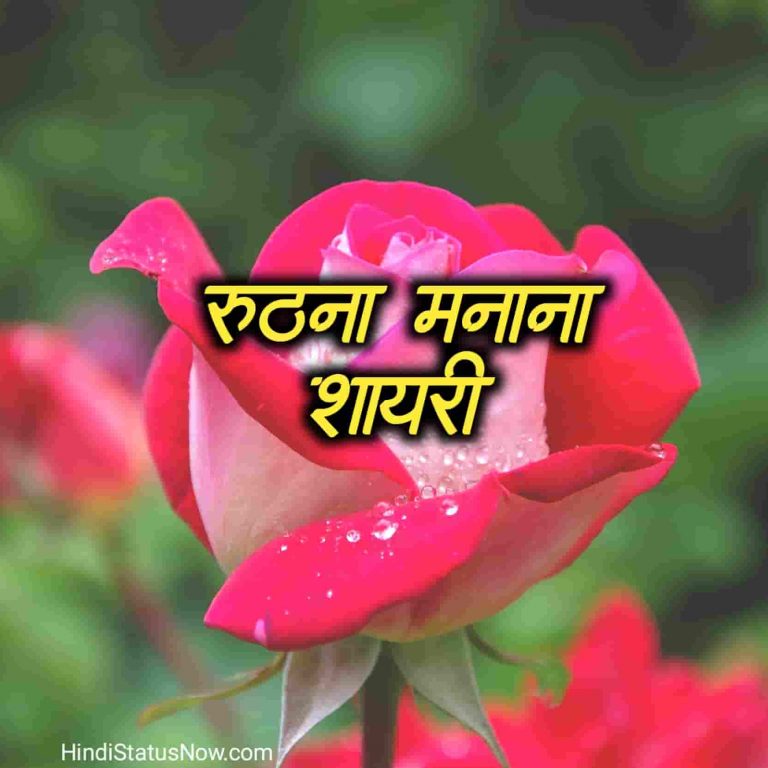 रूठना मनाना शायरी