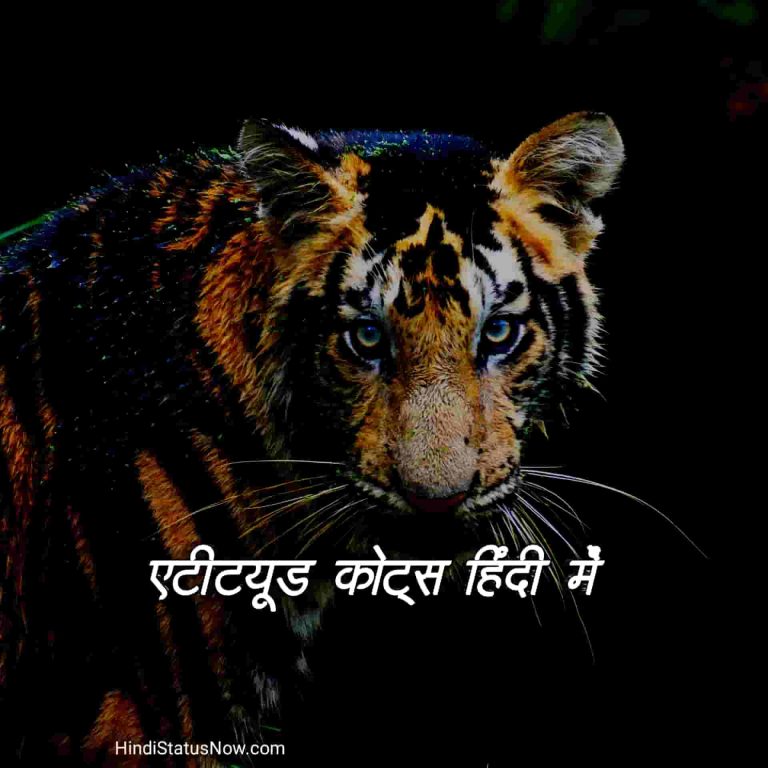 एटीट्यूड कोट्स हिंदी में Attitude Quotes In Hindi