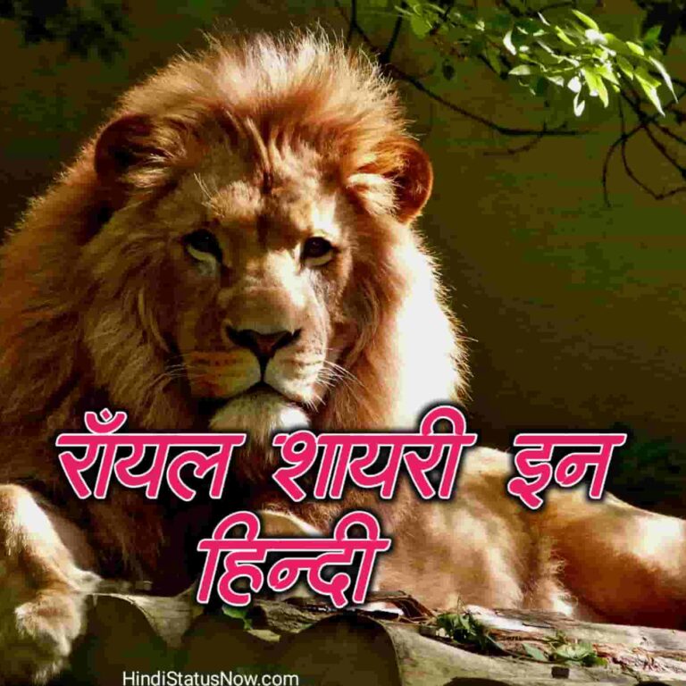 रॉयल शायरी इन हिन्दी एटिट्यूड | Royal Shayari In Hindi