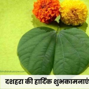 दशहरा की हार्दिक शुभकामनाएं  | Happy Dasara Wishes In Hindi दशहरा की हार्दिक शुभकामनाएं | Happy Dasara Wishes In Hindi